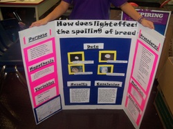 How to write a research paper for science fair - blogger.com